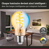 Ampoule LED dimmable avec lumière blanche réglable dans une salle à manger moderne