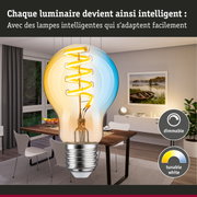 Grande ampoule avec filament LED jaune dans une salle à manger moderne avec éclairage dimmable et blanc réglable