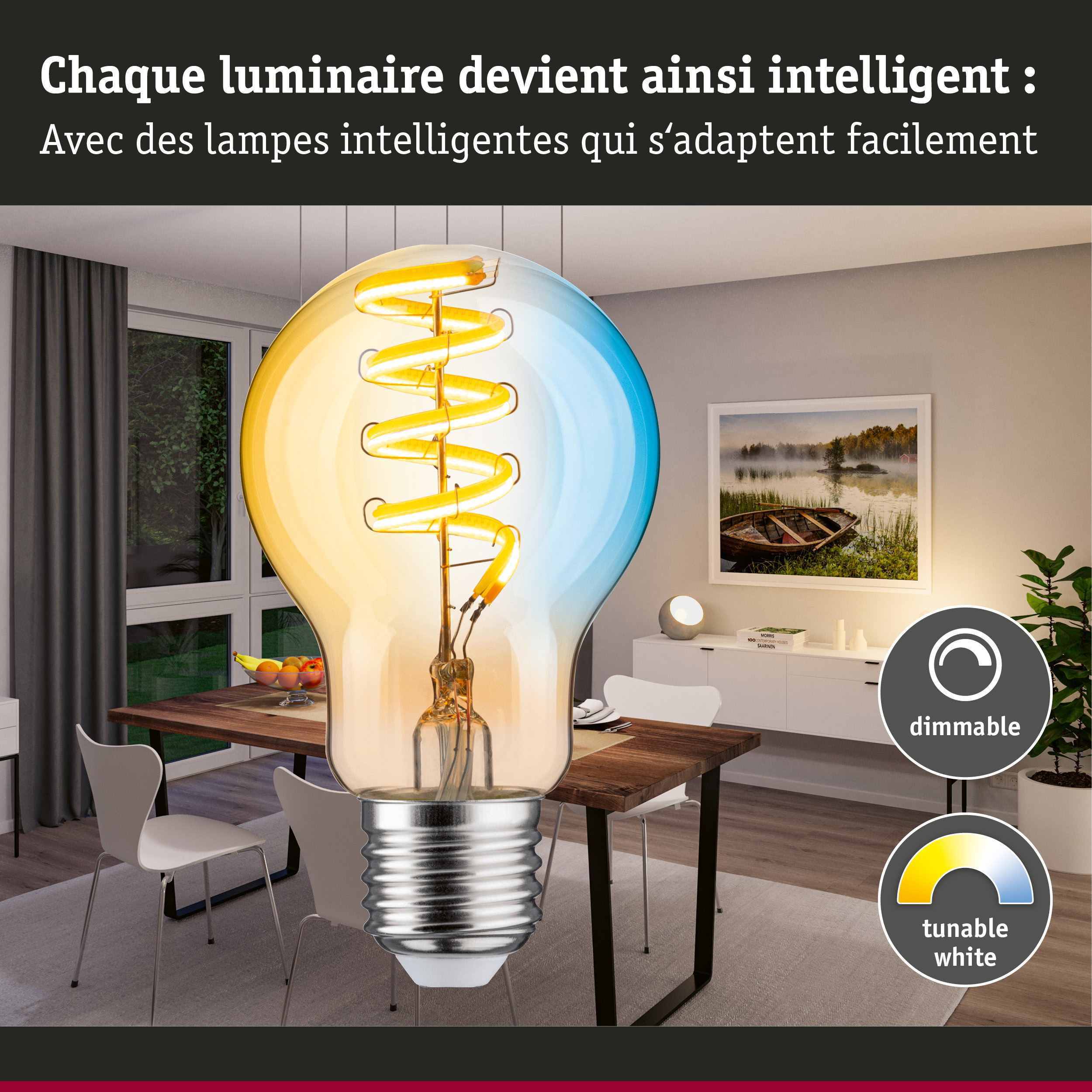 Grande ampoule avec filament LED jaune dans une salle à manger moderne avec éclairage dimmable et blanc réglable