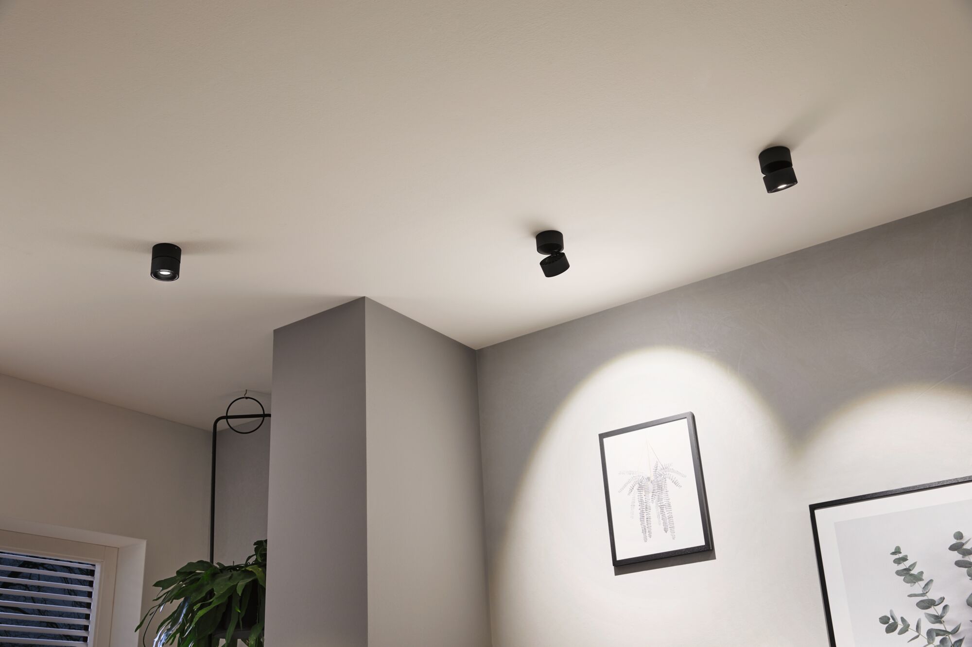 Drei schwarze Deckenstrahler aus Metall beleuchten Wand mit Bilderrahmen in modernem Raum mit Pflanzen.