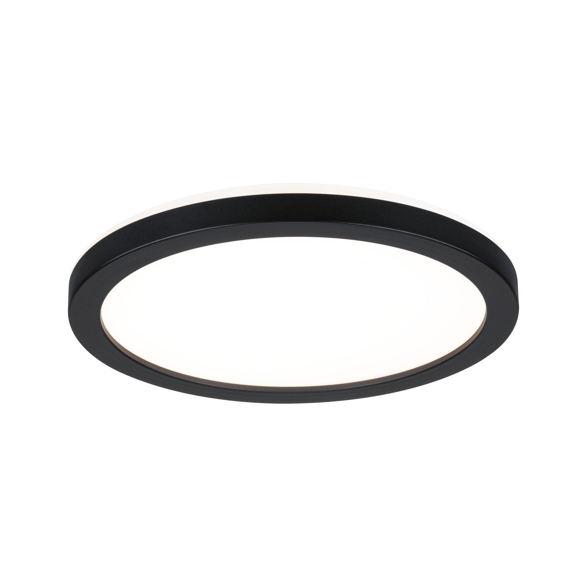 Round ceiling light with black metal frame and white diffuser for modern room lighting