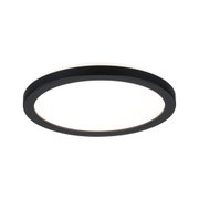 Round ceiling light with black metal frame and white diffuser for modern room lighting