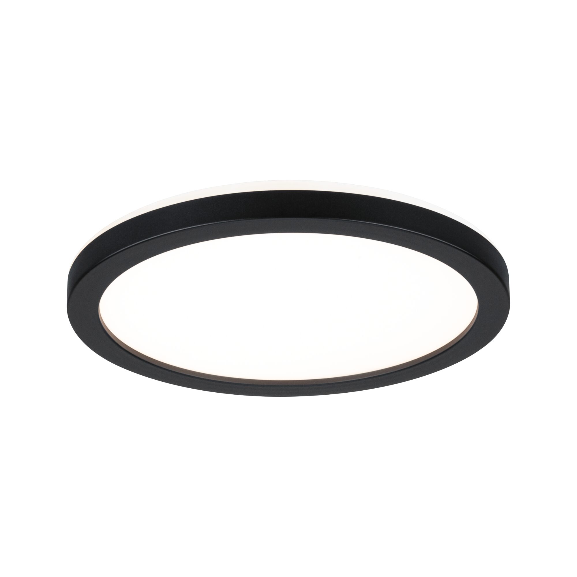 Round ceiling light with black metal frame and white diffuser for modern room lighting