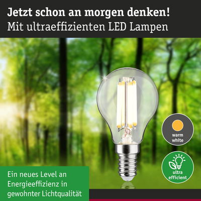 LED-Lampe mit warmweißem Licht und hoher Energieeffizienz vor grünem Waldhintergrund