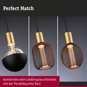 Drei moderne Pendelleuchten mit goldfarbenem Metall und schwarzem sowie kupferfarbenem Gitter für Wohnraumbeleuchtung