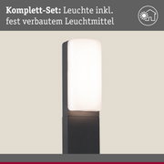 Moderne Außenwandleuchte in Schwarz mit weißem Diffusor, energiesparende LED-Beleuchtung inklusive