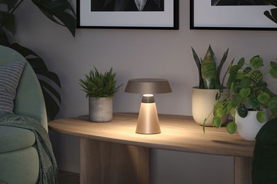 Moderne Tischleuchte aus Metall in Beige auf Holztisch mit grünen Zimmerpflanzen im Wohnzimmer