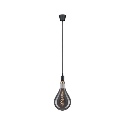 Modern pendant light with black cable and smoked glass bulb for stylish room lighting