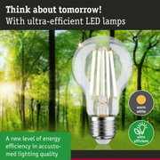 Clear LED bulb with warm white light and ultra-efficient technology against green forest background