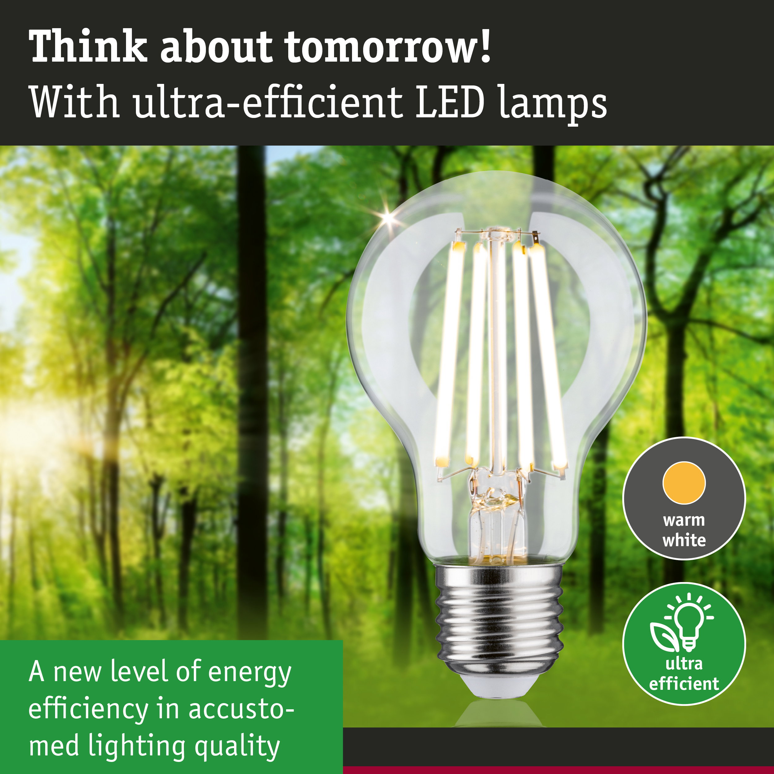 Clear LED bulb with warm white light and ultra-efficient technology against green forest background
