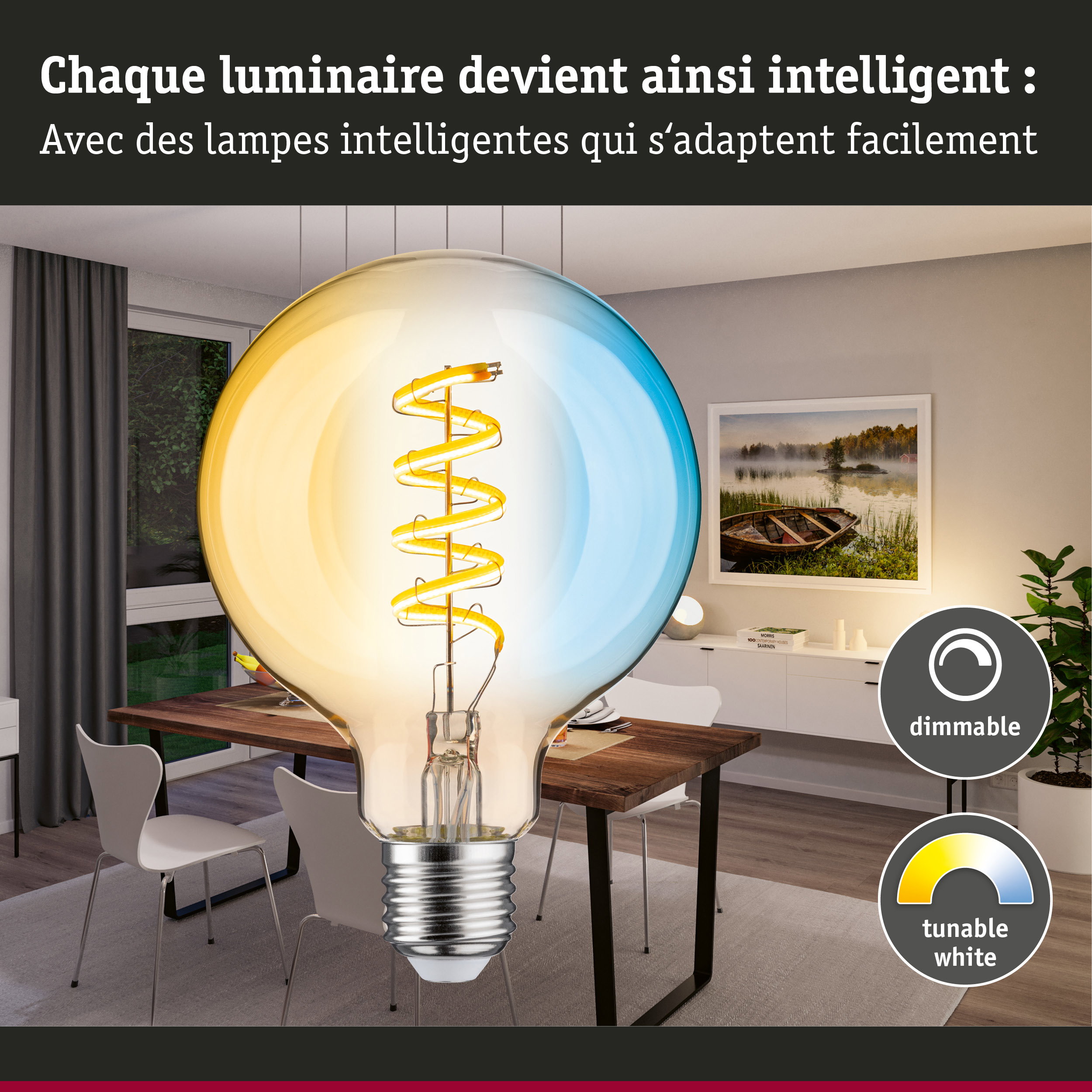 Grande ampoule à filament en spirale dans salle à manger moderne montrant éclairage LED dimmable blanc réglable