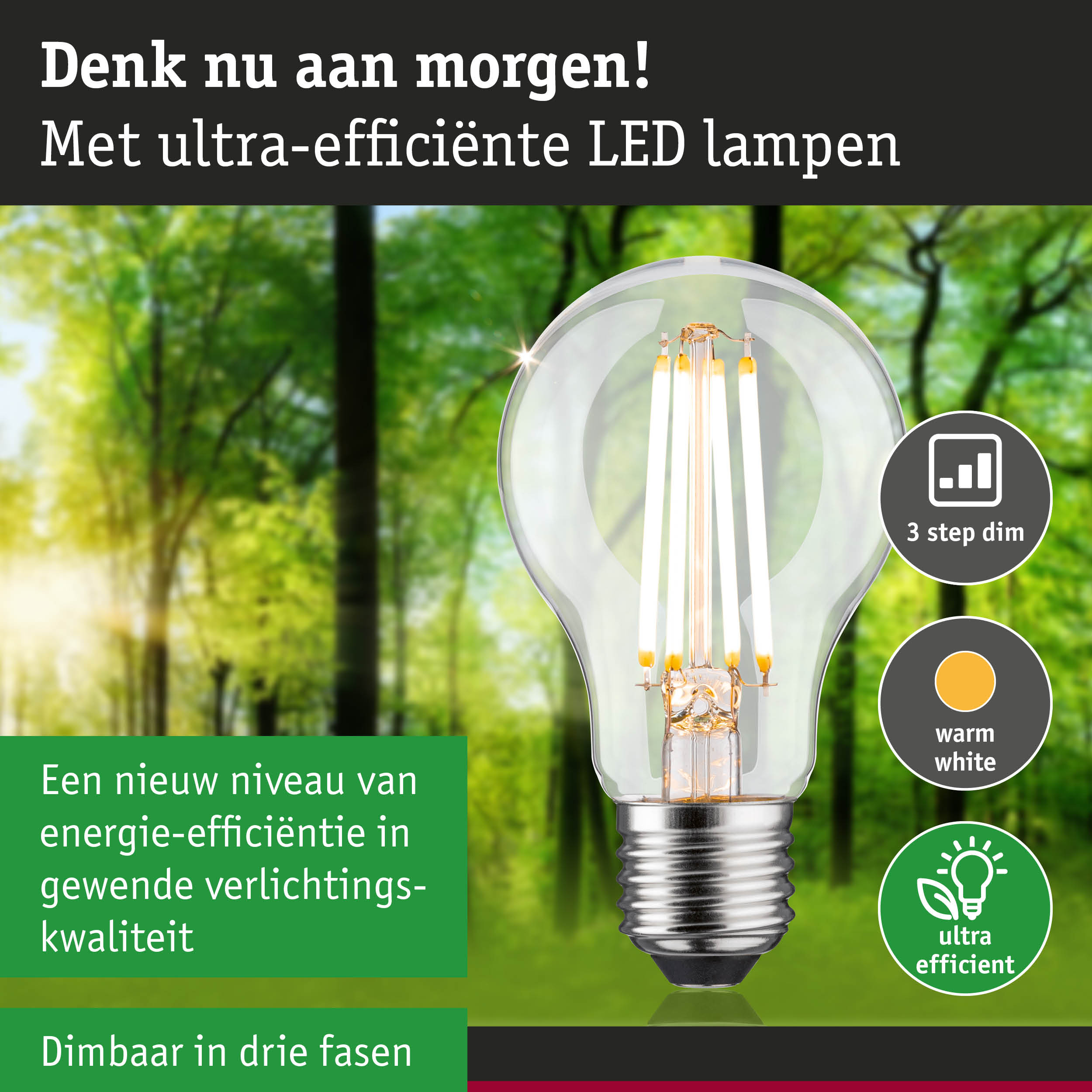 Transparante LED-lamp met warm wit licht en 3-staps dimfunctie voor energiezuinige verlichting