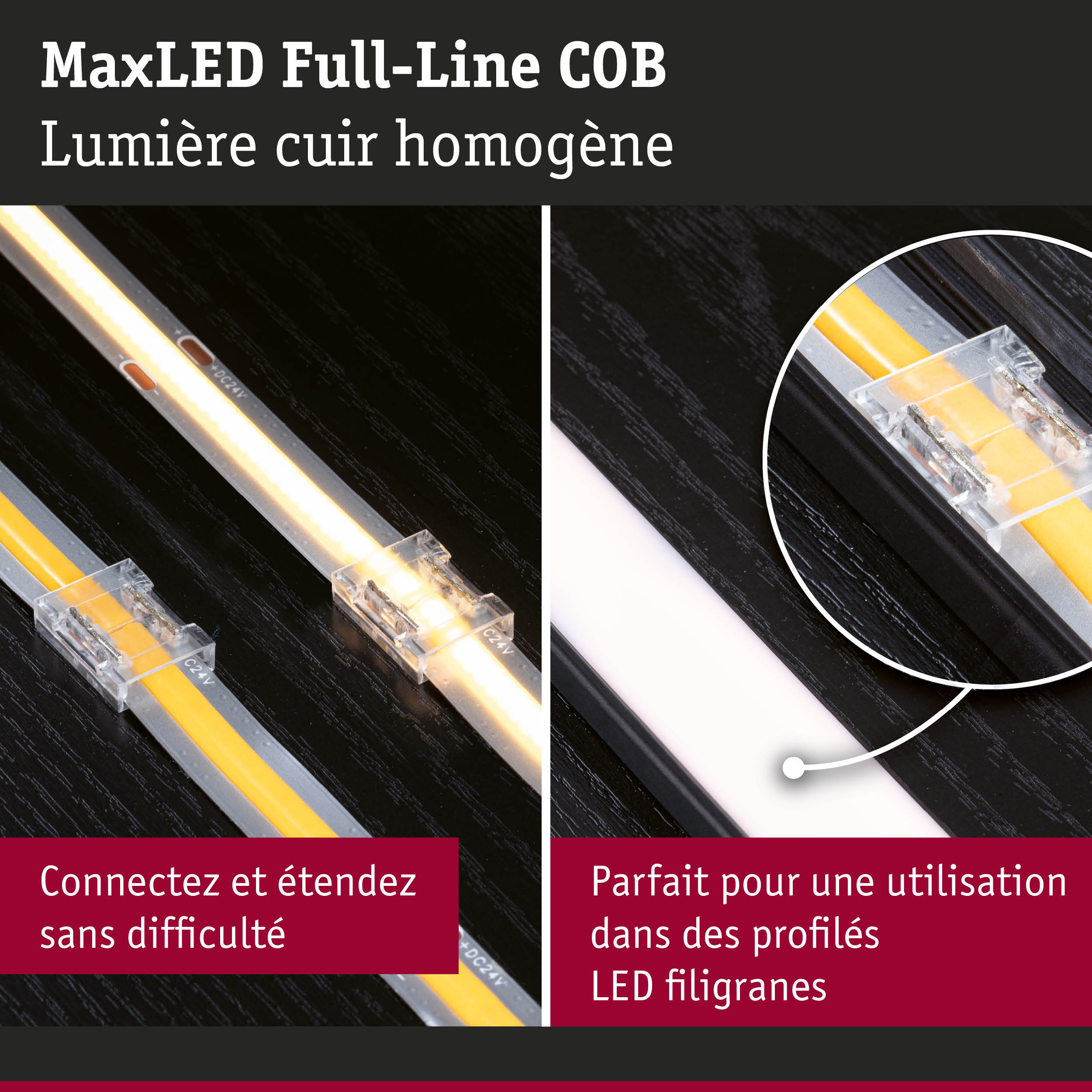 Bande LED MaxLED Full-Line COB avec lumière homogène sur fond noir pour éclairage LED