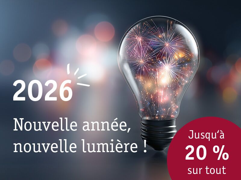 Ampoule avec feux d'artifice à l'intérieur symbolisant la nouvelle année lumière 2026 et promotion