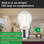 Transparante LED-lamp met warm wit licht en ultra-efficiënt energieverbruik tegen groene bosachtergrond