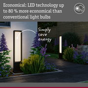Modern black LED outdoor garden lights featuring energy-saving technology and sleek design