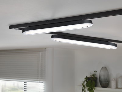 Modern black oval LED ceiling light with white illumination for living rooms and office spaces
