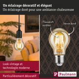 Ampoule LED vintage avec filaments visibles et verre doré pour un éclairage décoratif chaleureux