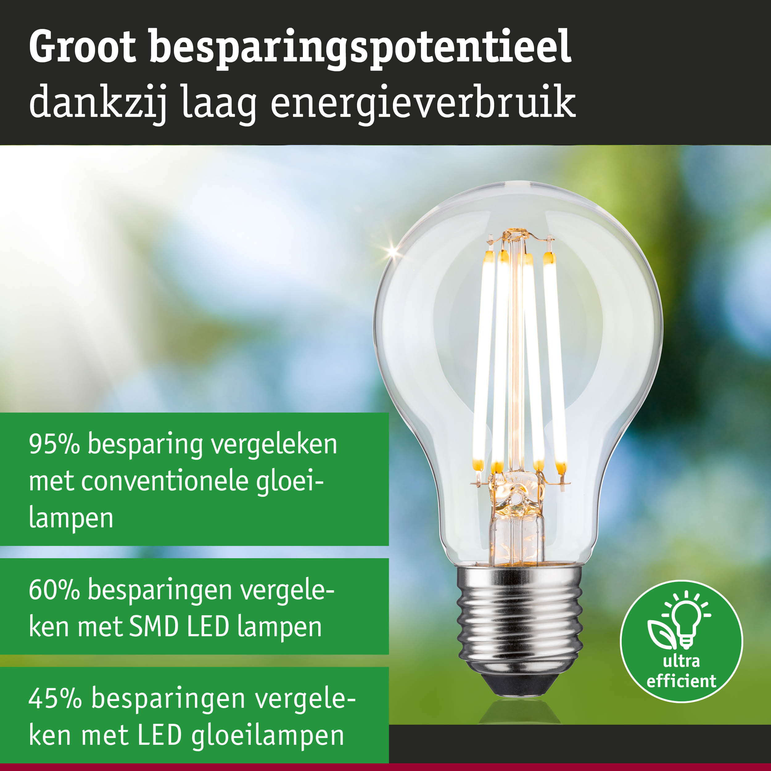 Energiezuinige LED-lamp met helder glas en zilveren fitting voor duurzame verlichting