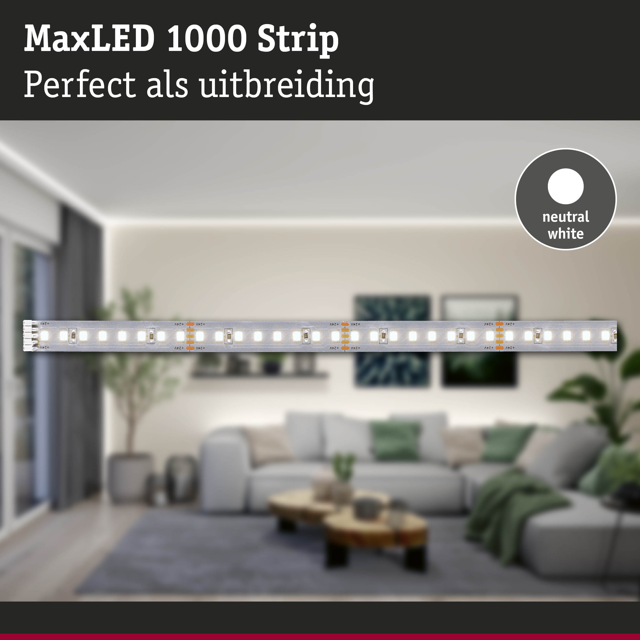MaxLED 1000 Strip LED-lichtstrip in neutraal wit voor woonverlichting en uitbreiding