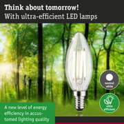Clear candle-shaped LED bulb with neutral white light and ultra-efficient energy saving