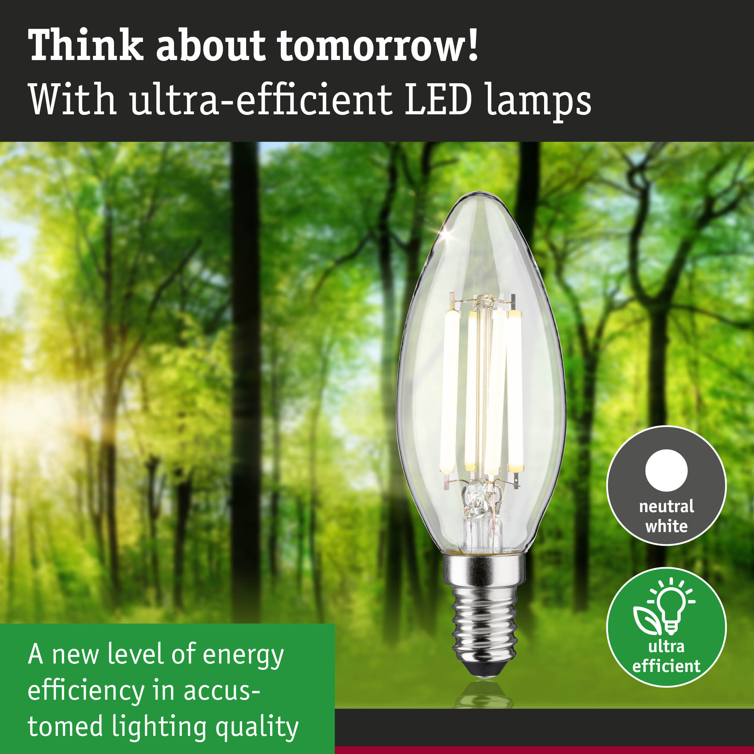 Clear candle-shaped LED bulb with neutral white light and ultra-efficient energy saving