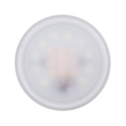 Round LED light bulb with frosted white plastic housing for energy-efficient lighting