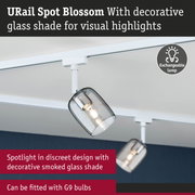 URail Spot Blossom ceiling spotlight with decorative smoked glass shade and exchangeable lamp