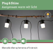 Zwarte Plug & Shine LED-lampen met warm wit licht aan natuurlijke houten tak voor tuinverlichting