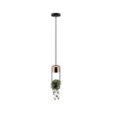 Moderne hanglamp met koperkleurig metaal en zwart frame, versierd met hangende plant.