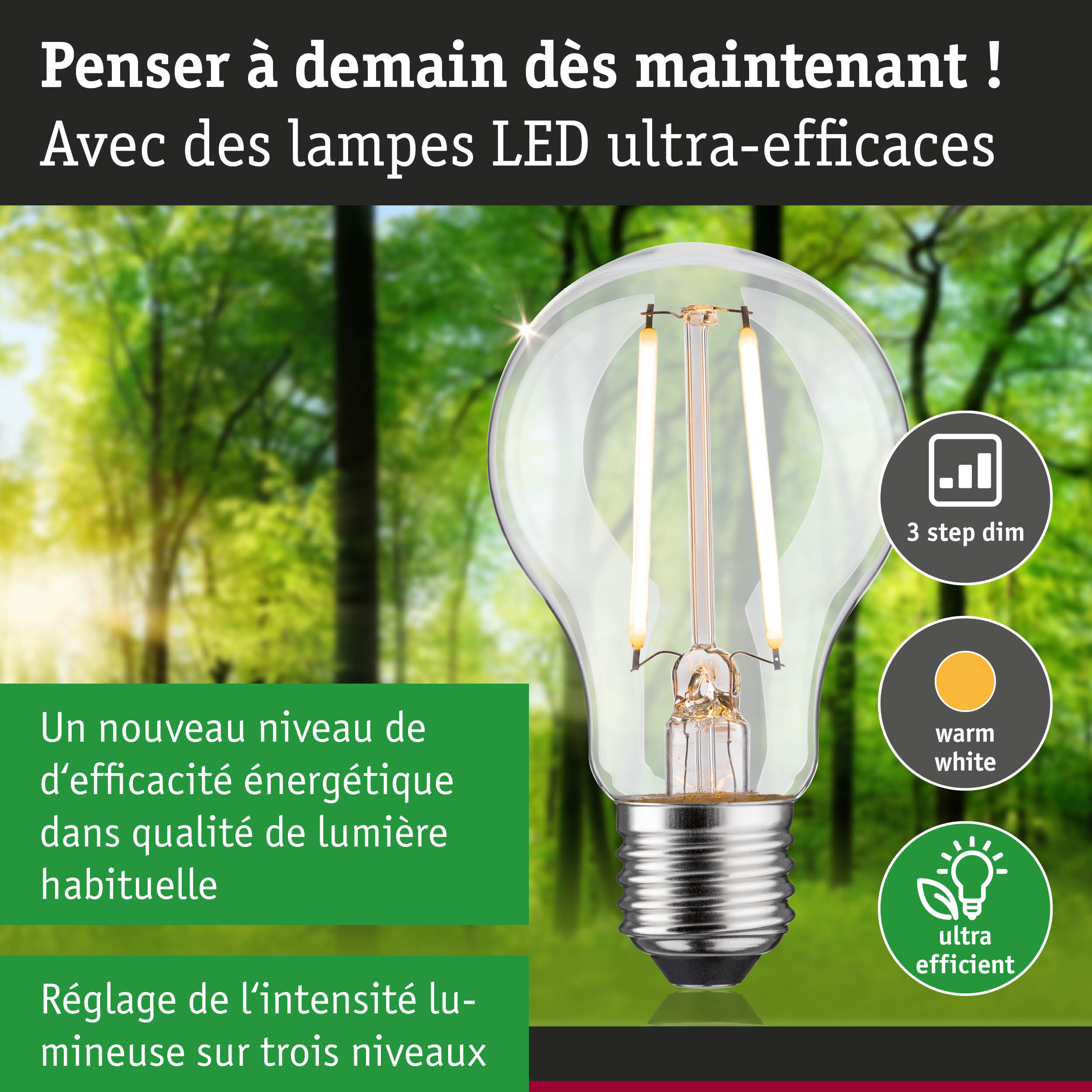 Ampoule LED avec lumière blanc chaud et gradation en 3 étapes pour éclairage économe en énergie