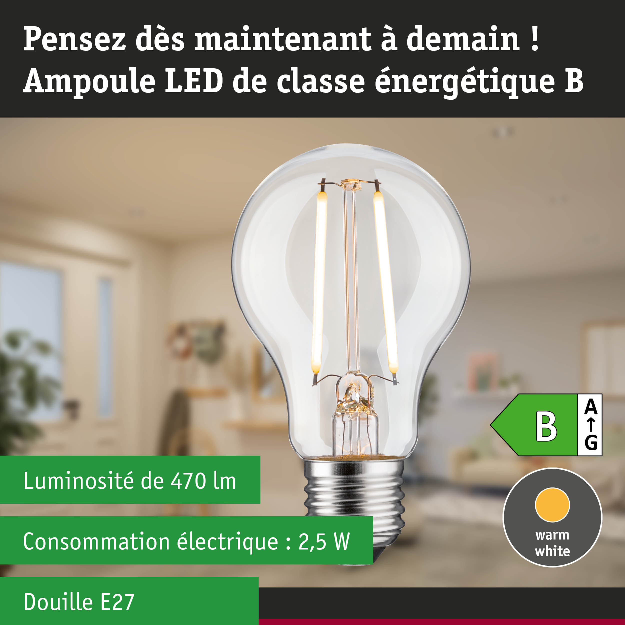 Ampoule LED avec lumière blanc chaud et gradation en 3 étapes pour éclairage économe en énergie