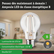 Ampoule LED avec lumière blanc chaud et gradation en 3 étapes pour éclairage économe en énergie
