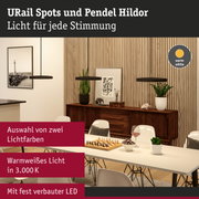 Moderne Pendelleuchten URail Spots in Schwarz mit warmweißem Licht für gemütliche Wohnräume