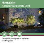 Outdoor spotlight with warm white light illuminating plants and terrace for atmospheric garden lighting