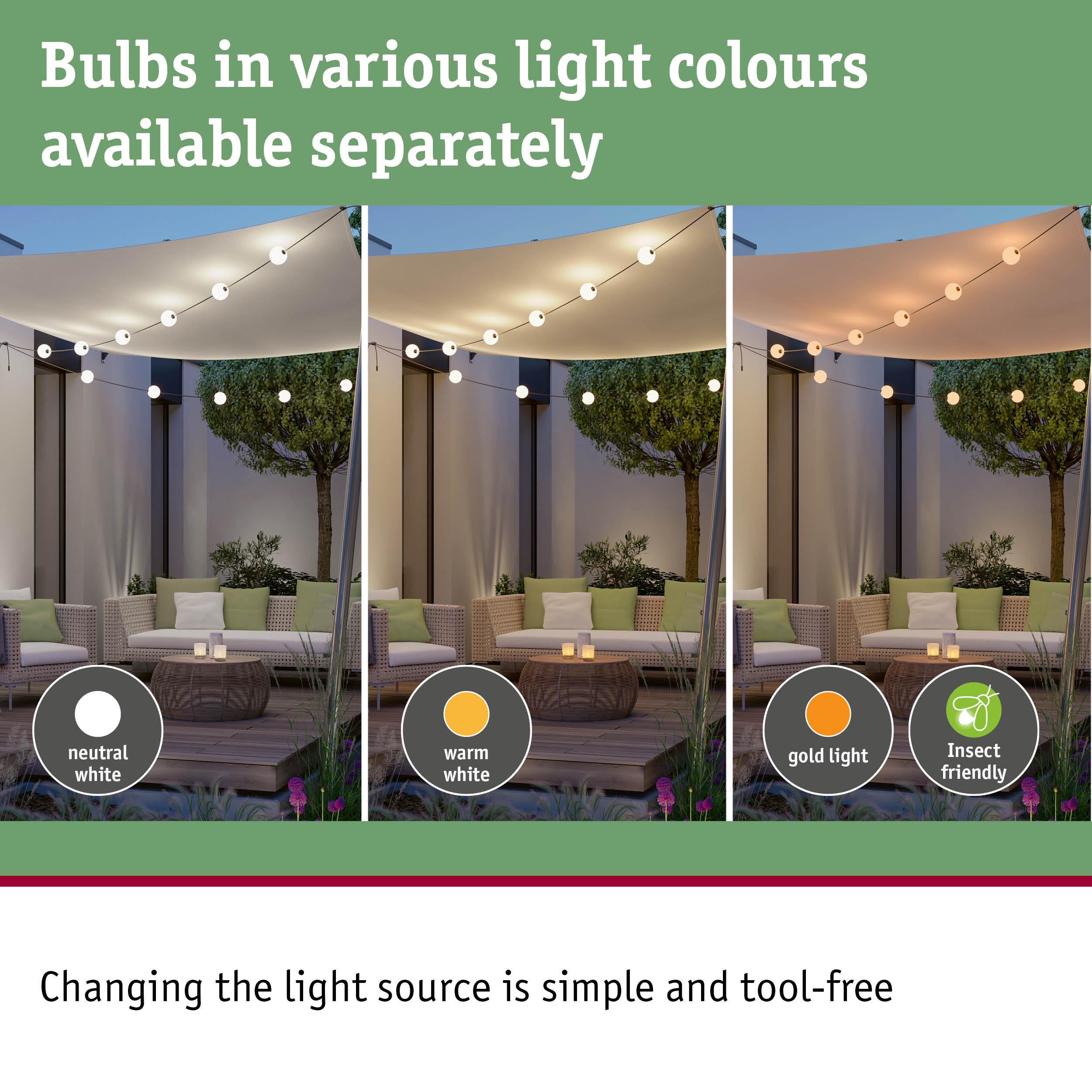 Outdoor string lights with interchangeable bulbs in neutral white, warm white, and gold light, insect friendly