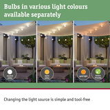 Outdoor string lights with interchangeable bulbs in neutral white, warm white, and gold light, insect friendly
