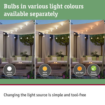 Outdoor string lights with interchangeable bulbs in neutral white, warm white, and gold light, insect friendly