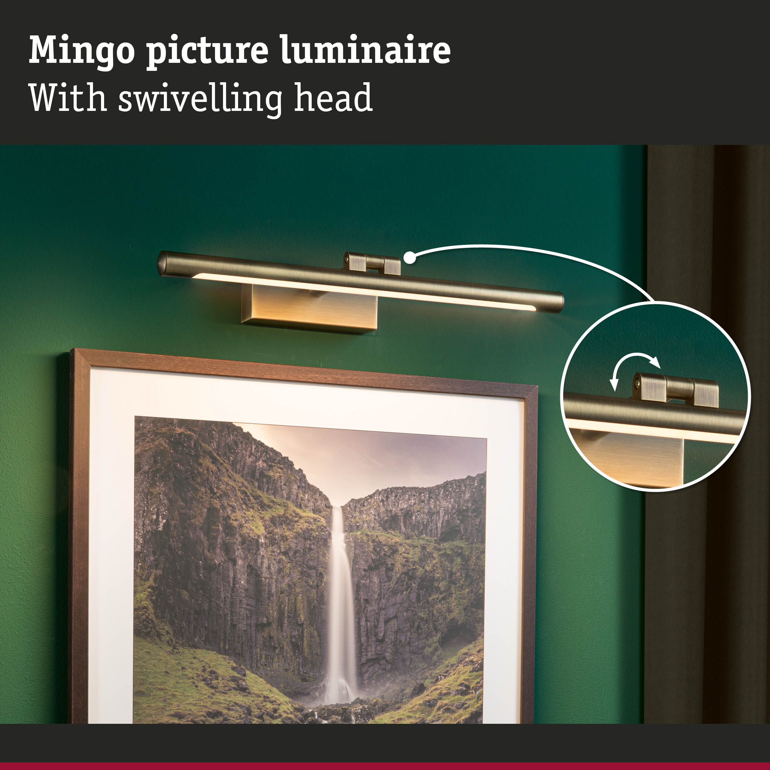 Mingo LED picture light in brushed brass metal with swivelling head for wall art illumination