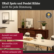 Moderne Pendelleuchten in Grau mit warmweißem Licht über Esstisch in stilvollem Esszimmer