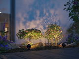Two black LED garden spotlights illuminate green shrubs with pink flowers against house wall at dusk