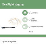 White LED string lights with black cable and plug for versatile lighting and decoration use