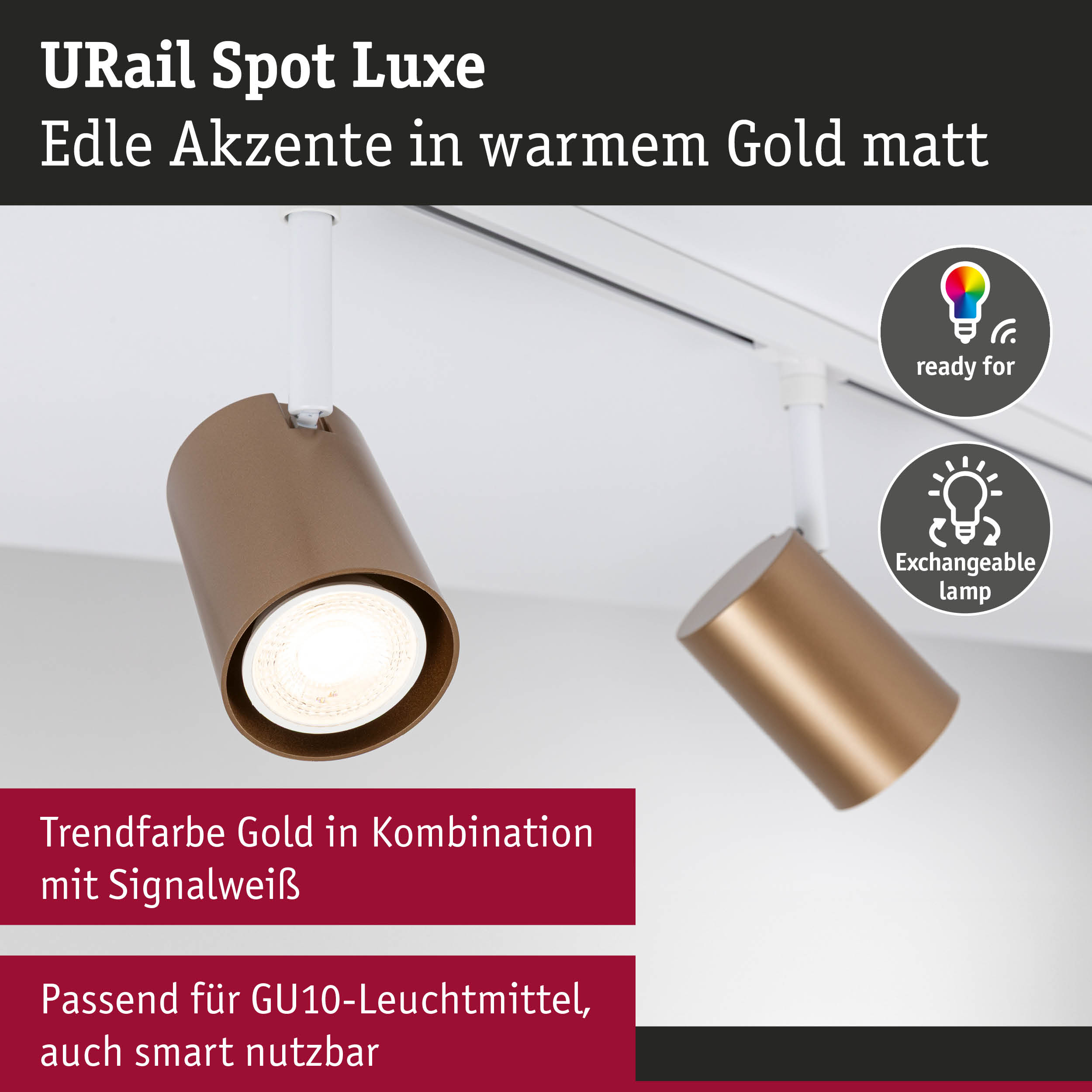 URail Spot Luxe Strahler in mattem Gold mit weißer Schiene, dimmbar und mit wechselbarer Lampe