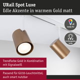URail Spot Luxe Strahler in mattem Gold mit weißer Schiene, dimmbar und mit wechselbarer Lampe