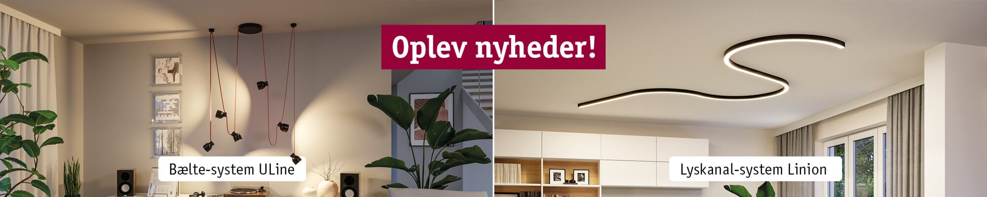 Neuheiten Entdecken Banner