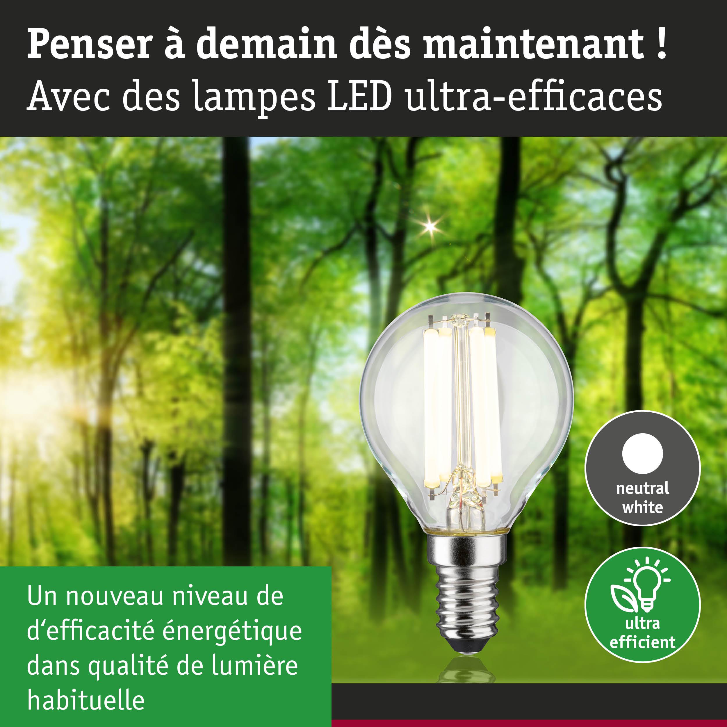 Ampoule LED à lumière blanc neutre et haute efficacité énergétique sur fond de forêt verte