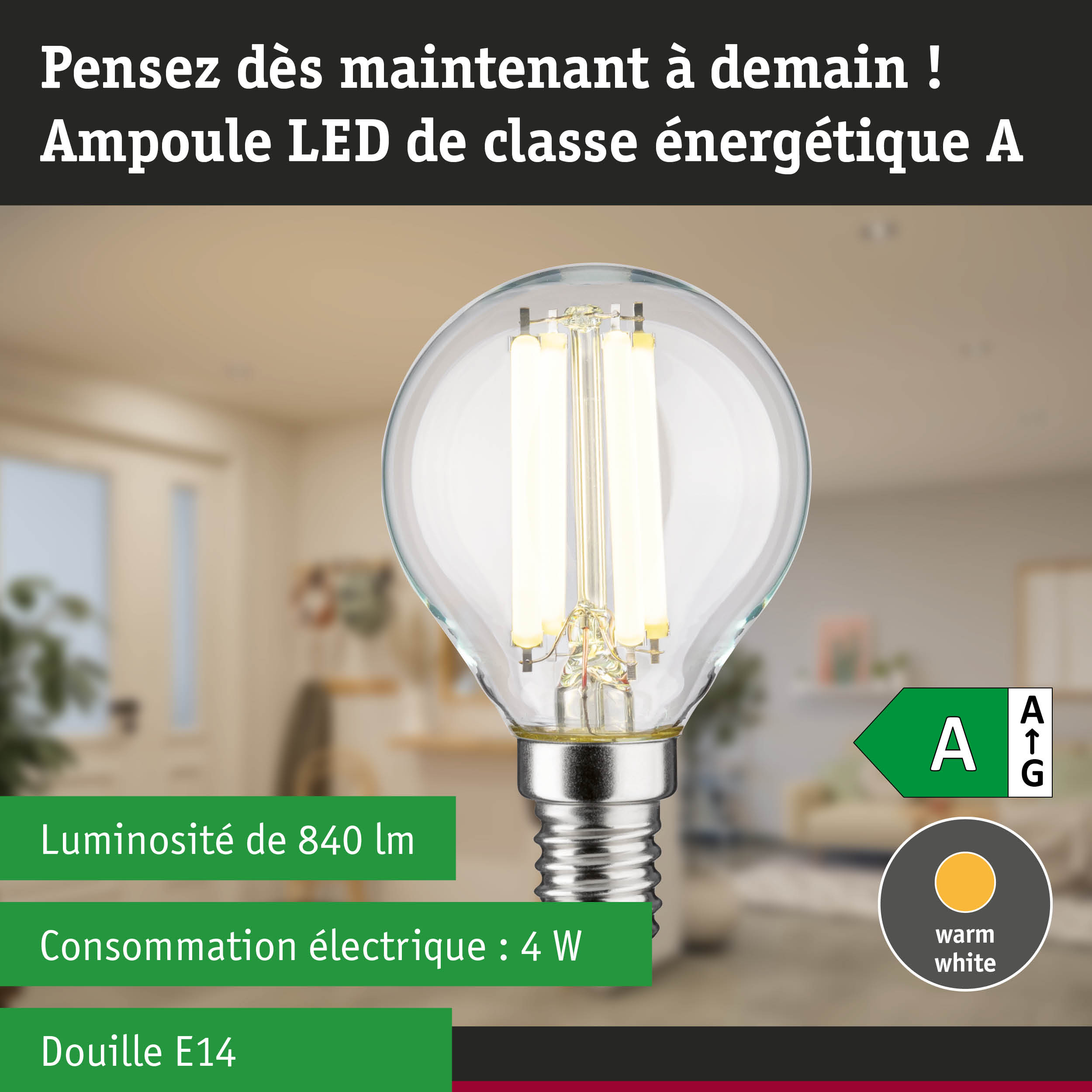 Ampoule LED lumière blanc neutre ultra efficace énergétiquement sur fond de forêt verte