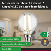 Ampoule LED lumière blanc neutre ultra efficace énergétiquement sur fond de forêt verte