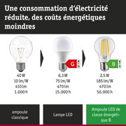 Comparaison ampoule incandescente, lampe LED et lampe LED ultra-efficace avec consommation et durée de vie
