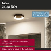 Black Casca metal ceiling light providing uniform illumination for bathrooms and living rooms